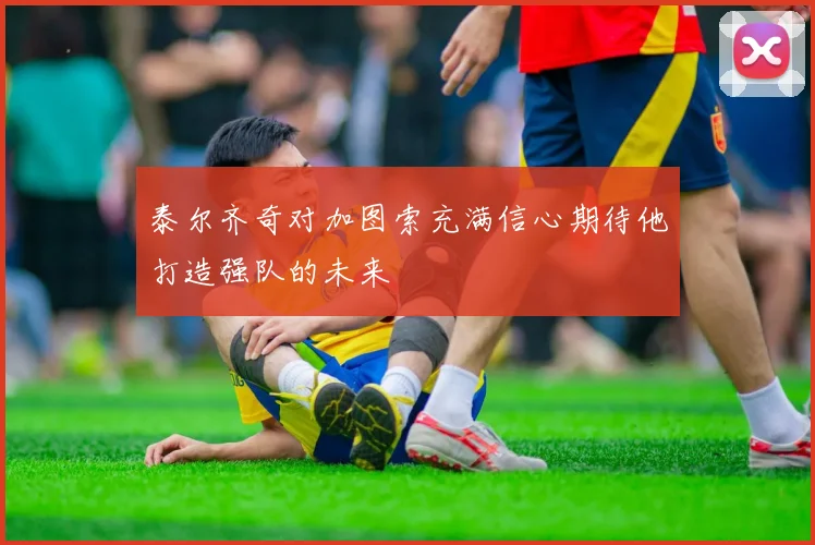 泰尔齐奇对加图索充满信心期待他打造强队的未来