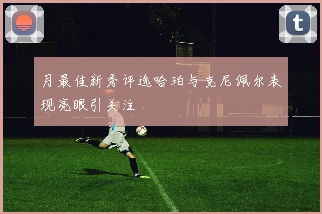 月最佳新秀评选哈珀与克尼佩尔表现亮眼引关注